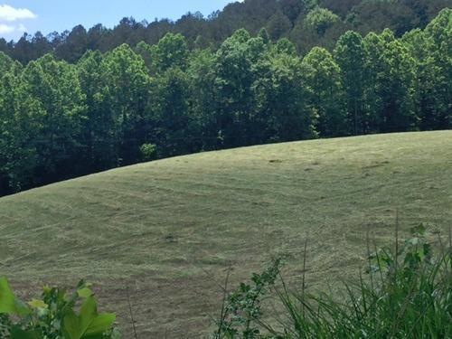 6165 Highway 1675, Somerset, KY 42501 - photo 1