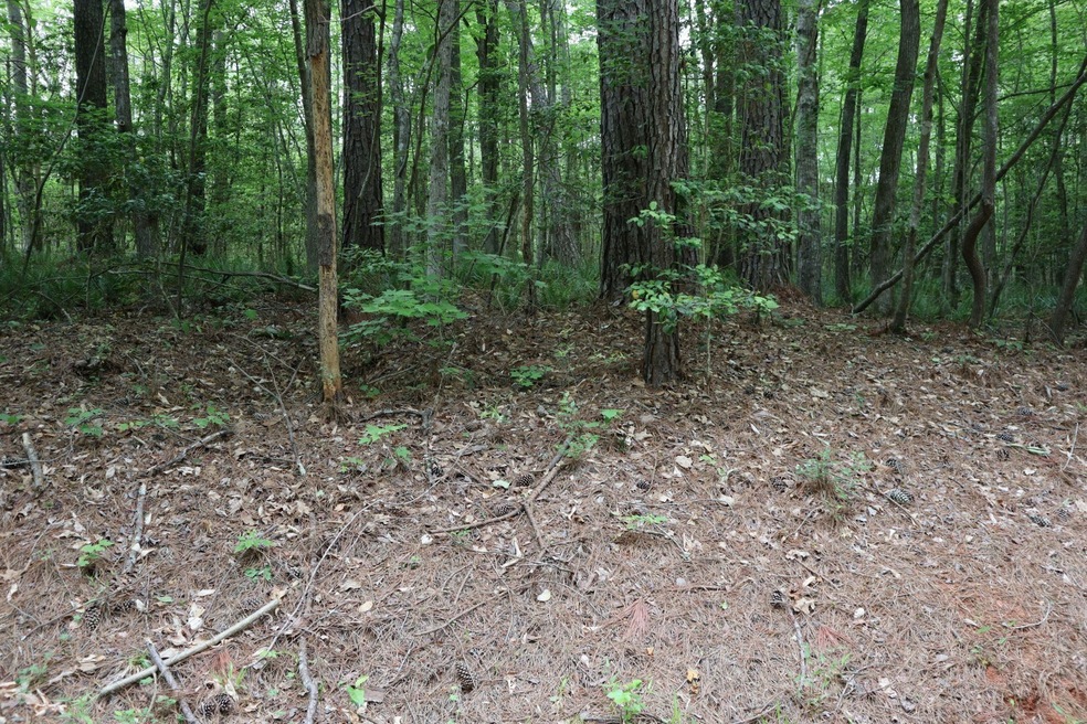 114 Acoma Dr, Cypress Creek, NC 27549 - photo 1