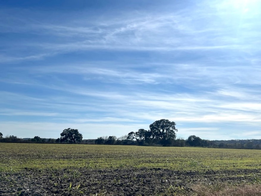 28 Acres Shaws Bend Rd, Columbus, TX 78934 - photo 1