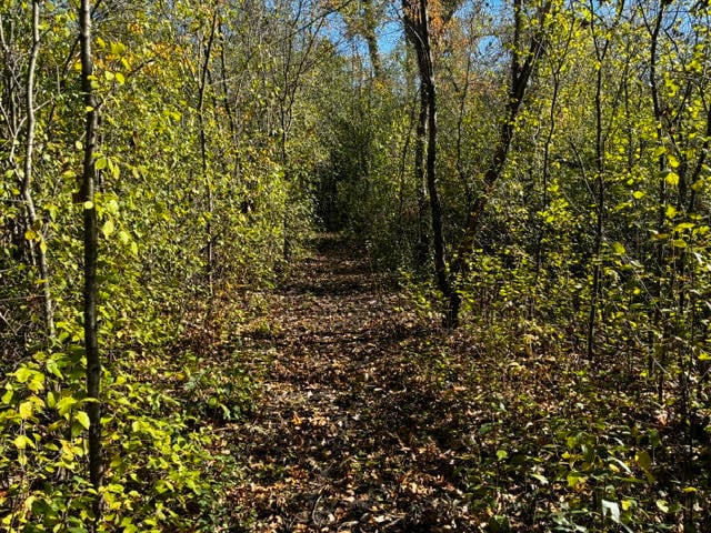 23976 W Beach Grove Rd, Antioch, IL 60002 - photo 1