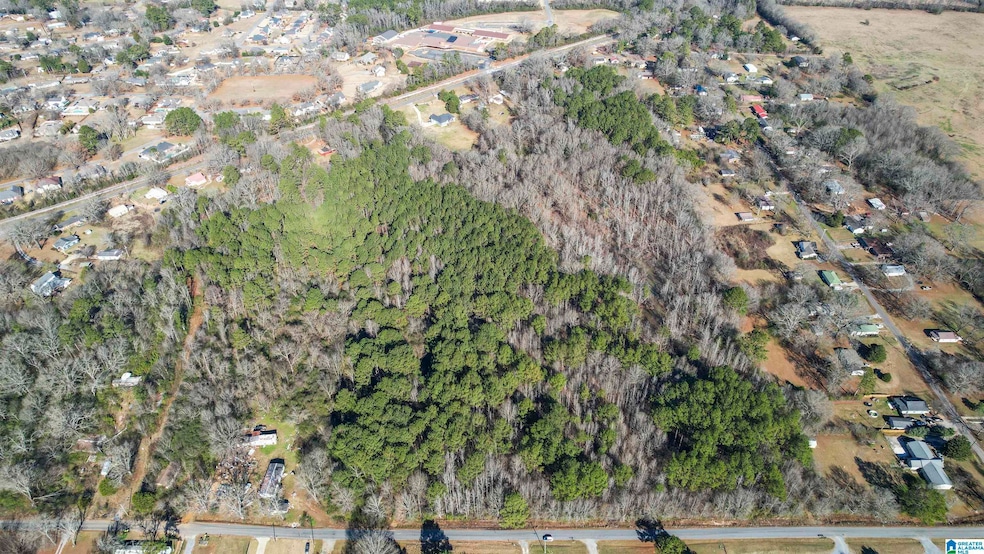 0 Marble City Heights Cir unit 21405884, Sylacauga, AL 35150 - photo 1