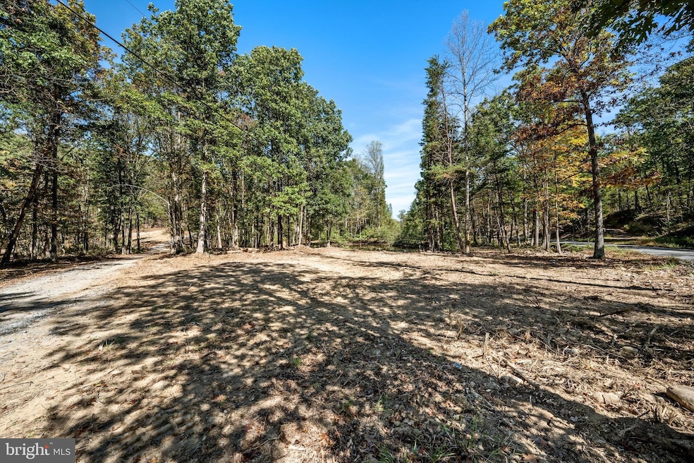 LOT 4 Back Creek Rd, Gore, VA 22637 - photo 1