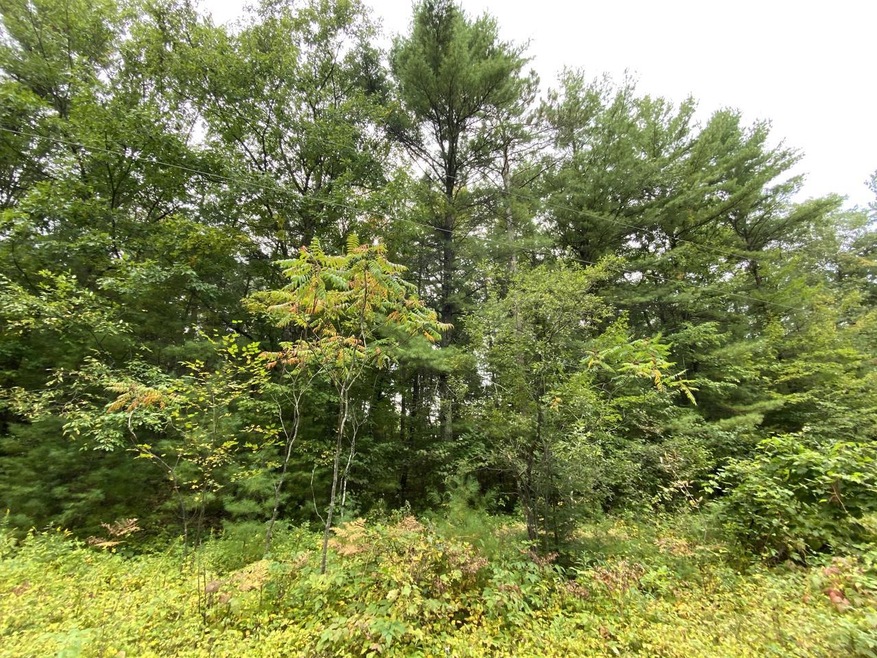 Lt3 Shady Lane Cir, Porterfield, WI 54159 - photo 1