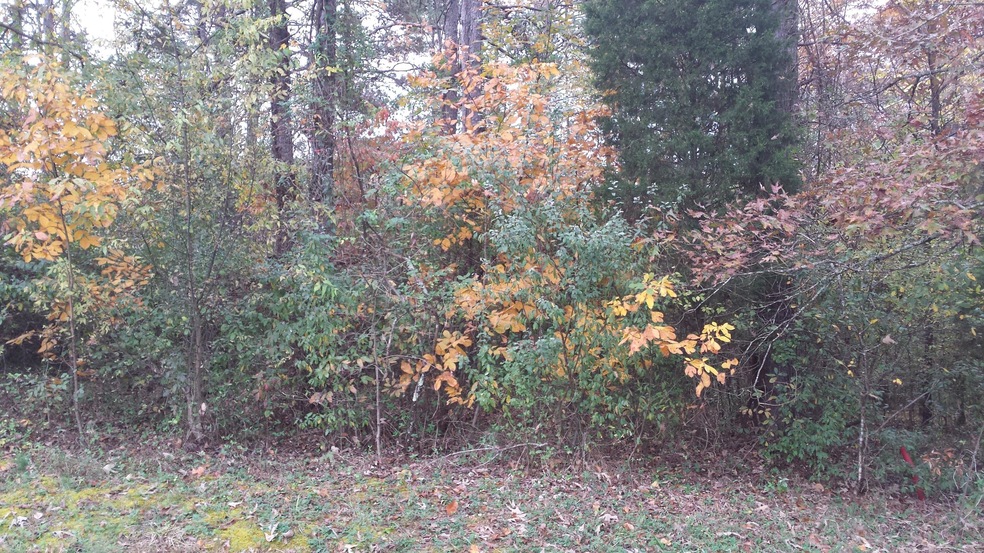 20151031_171305