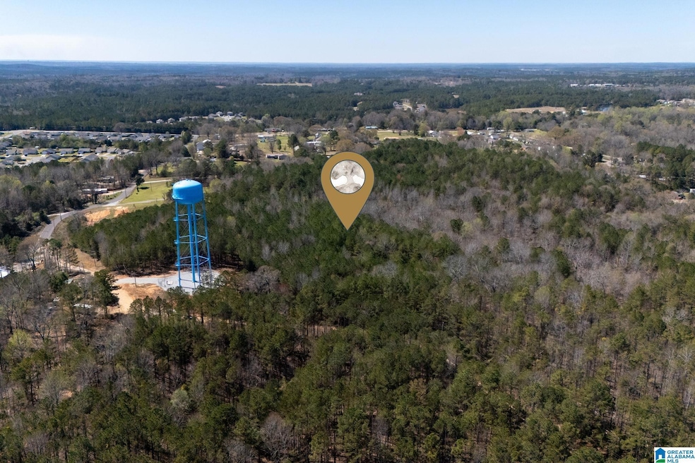 16082 House Rd, Brookwood, AL 35444 - photo 1