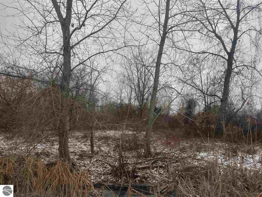 0 S Main St unit 1856110, Au Gres, MI 48703 - photo 1