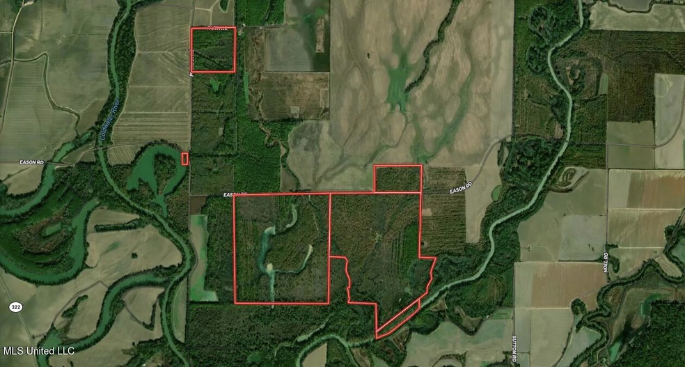 463+/- Acres in Quitman County