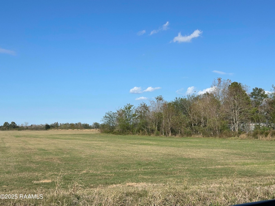 13640 Arabie Rd, Rayne, LA 70578 - photo 1
