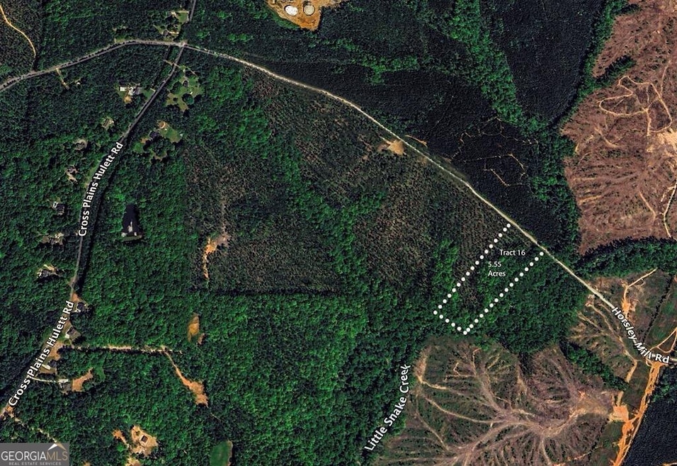TRACT 16 Horsley Mill Rd, Carrollton, GA 30116 - photo 1