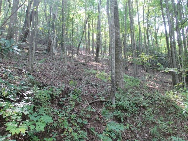 Lot 14 Laurel Dr. (pic. frm. low side of lot - Red