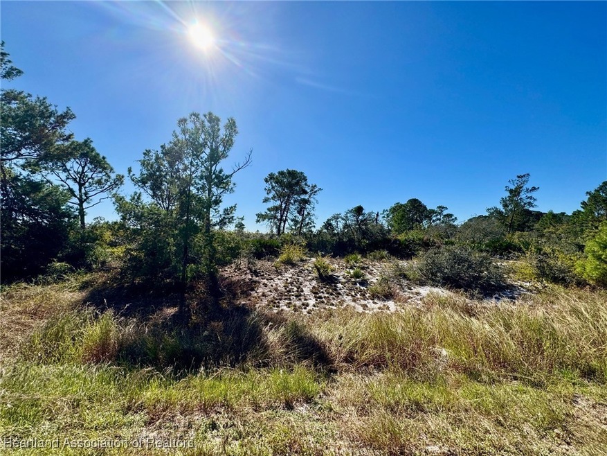 1295 Jersey St NE, Lake Placid, FL 33852 - photo 1