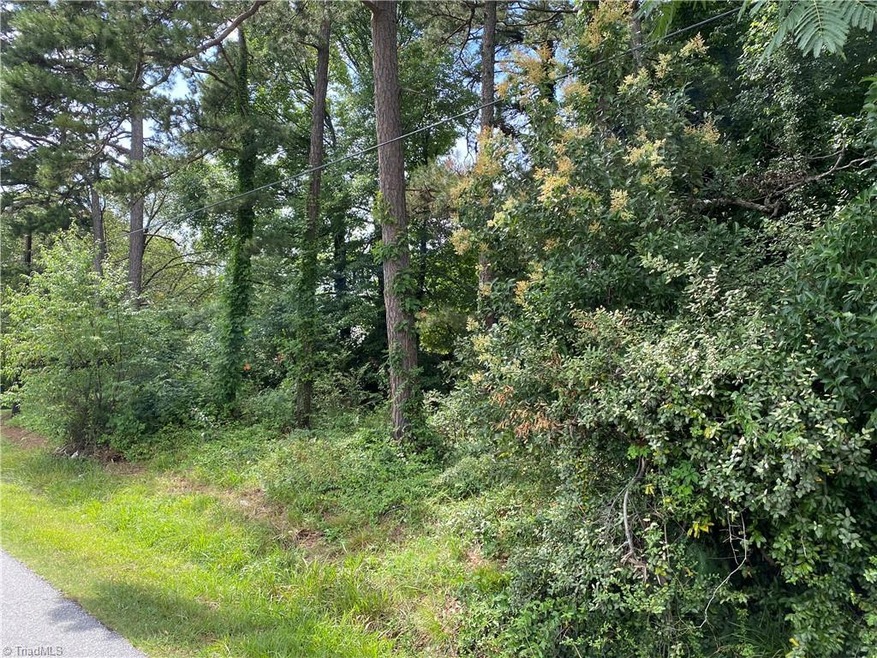 0 Playground Rd unit Tract 3 1032275, Archdale, NC 27263 - photo 1