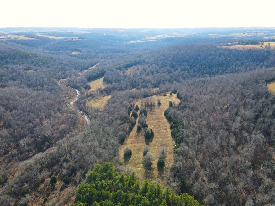 589 Marion County 4039