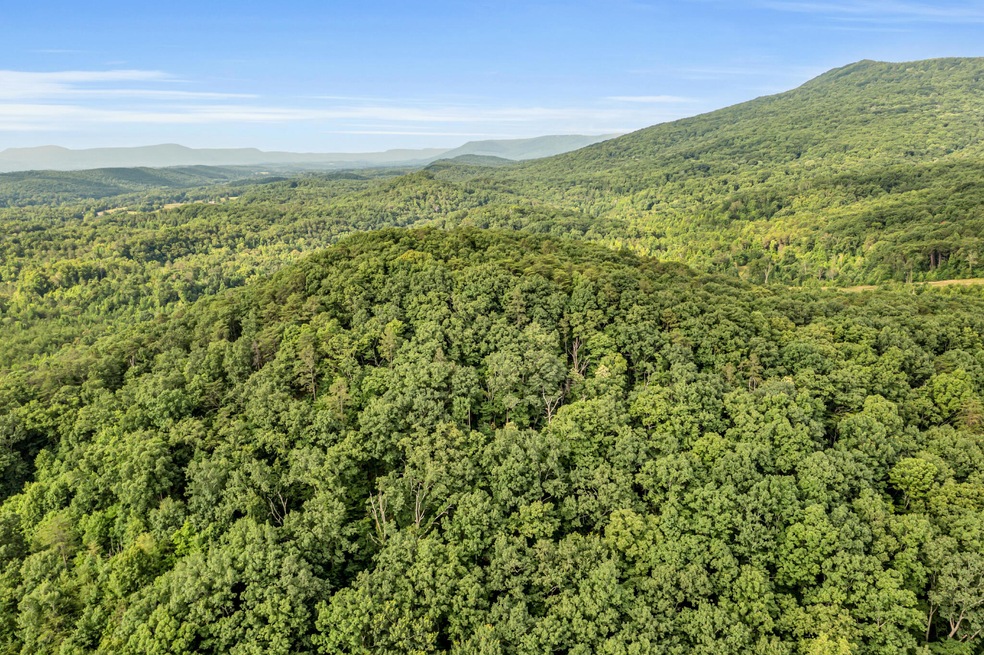 158.37 Acres | Williams Rd