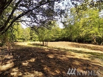 9598 Dupree Dr, Blaine, WA 98230 - photo 1