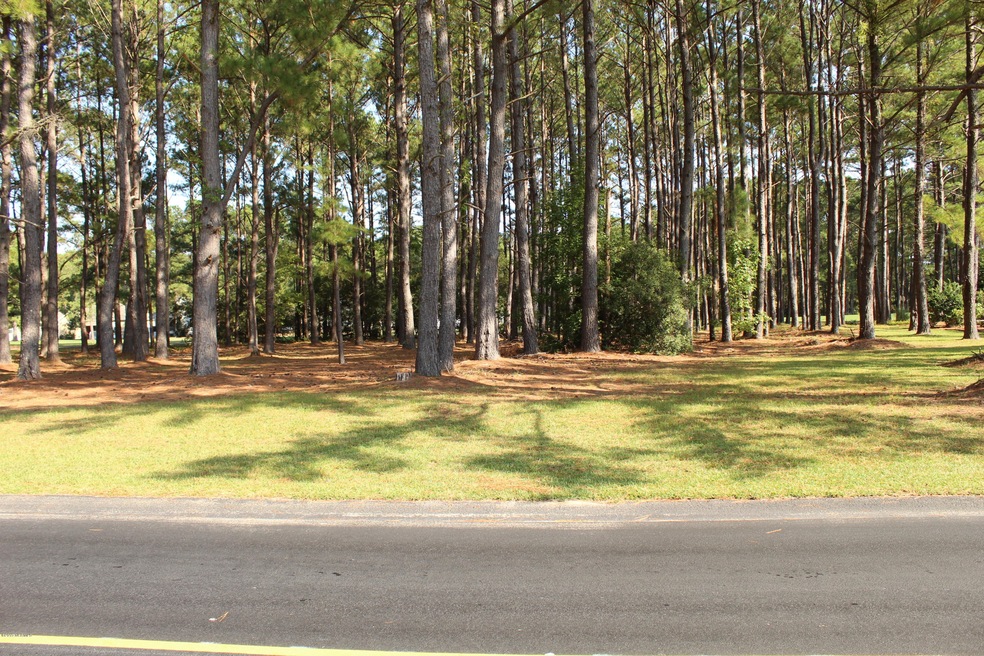 road view
