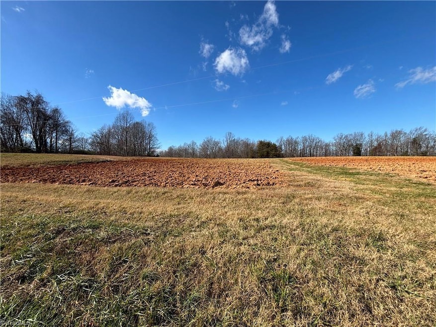 0 Pleasant View Church Rd, Danbury, NC 27016 - photo 1