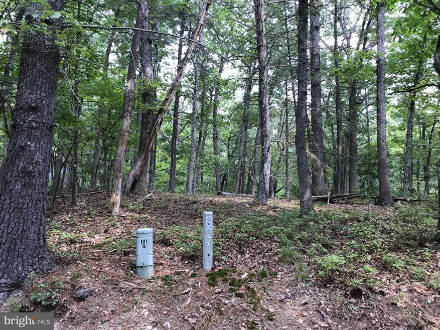 0 Polk unit VASH2001752, Basye, VA 22810 - photo 1