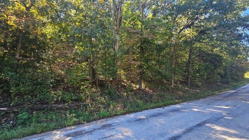 000 Eastwood Hills Block 6 Lot 2, Theodosia, MO 65761 - photo 1