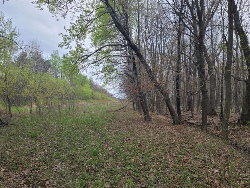 0 16th Ave unit 1553004, Sumner Township, WI 54868 - photo 1