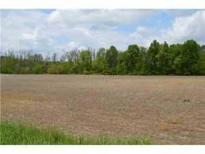 20160112193905377743000000-o