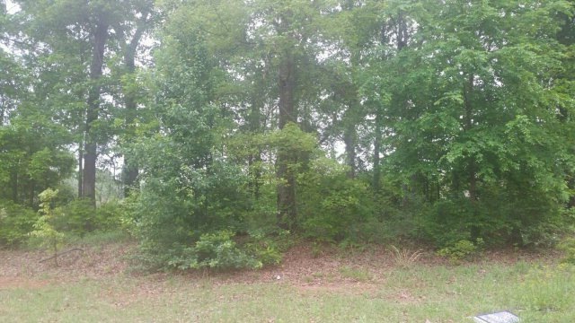 416 Sleepy Ln, Warner Robins, GA 31088 - photo 1