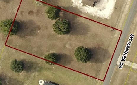 LOT74 Mandiba Dr, Lake City, FL 32024 - photo 1