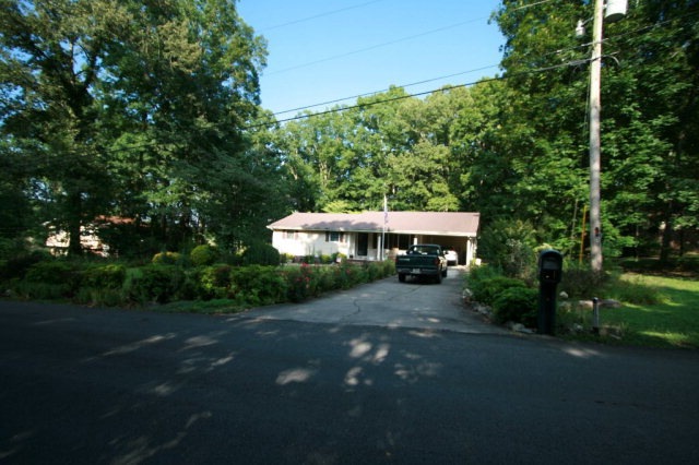 Main View