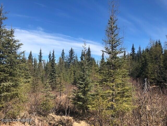 66384 Markoka Ave, Anchor Point, AK 99556 - photo 1