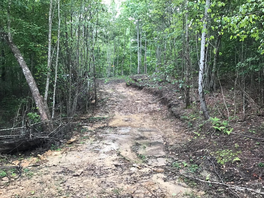 Tbd Bobcat Dr, Big Stone Gap, VA 24219 - photo 1