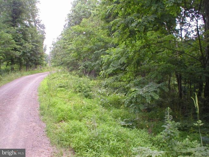 0 High Knob Rd unit 1004729624, Moorefield, WV 26836 - photo 1