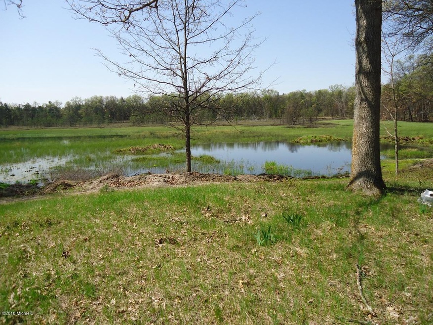 12372 N Bingham Ave, Bitely, MI 49309 - photo 1