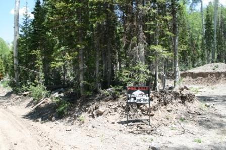 Deer Trail lot