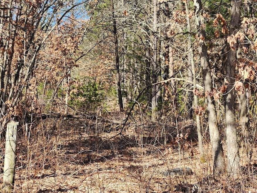 0 Koval Rd unit 22500378, Lyndon Station, WI 53944 - photo 1