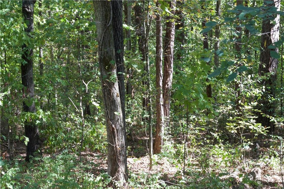 6 Earby Ln, Bella Vista, AR 72714 - photo 1