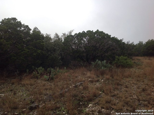 222 County Road 244, Hondo, TX 78861 - photo 1