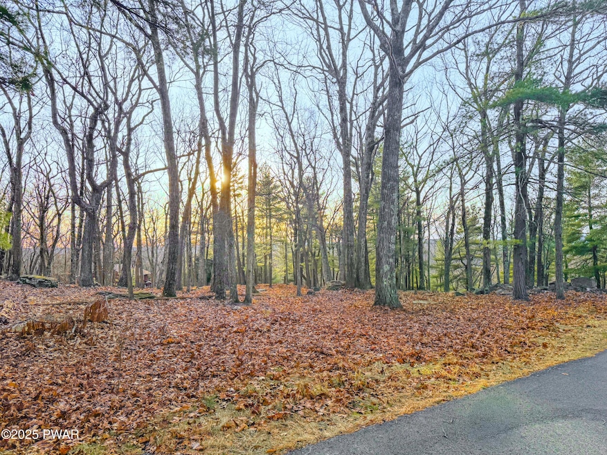 Lot 887 Attitash Ln, Blooming Grove Township, PA 18464 - photo 1