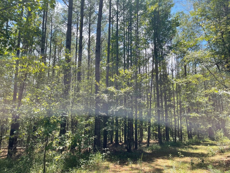 00 Mississippi 7, Grenada, MS 38901 - photo 1