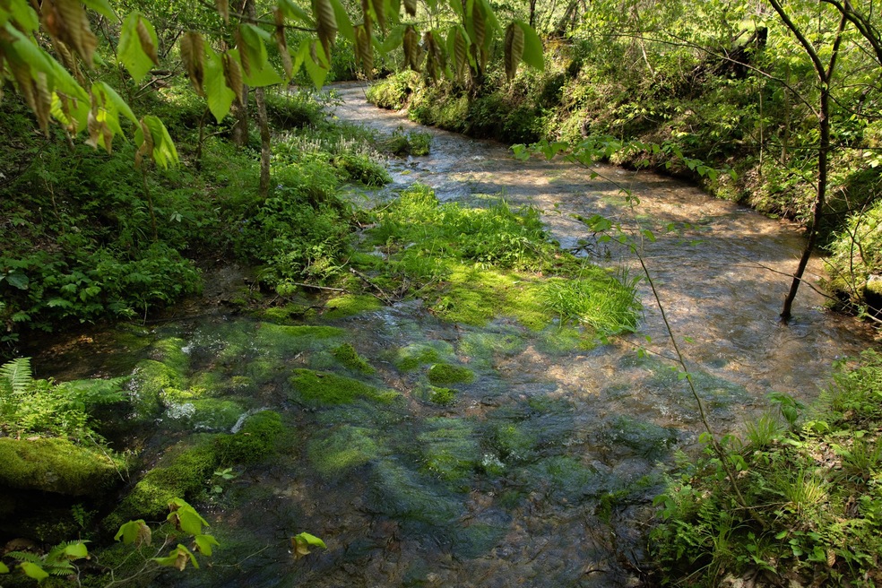 7262 Sinking Creek Rd, Linden, TN 37096 - photo 1