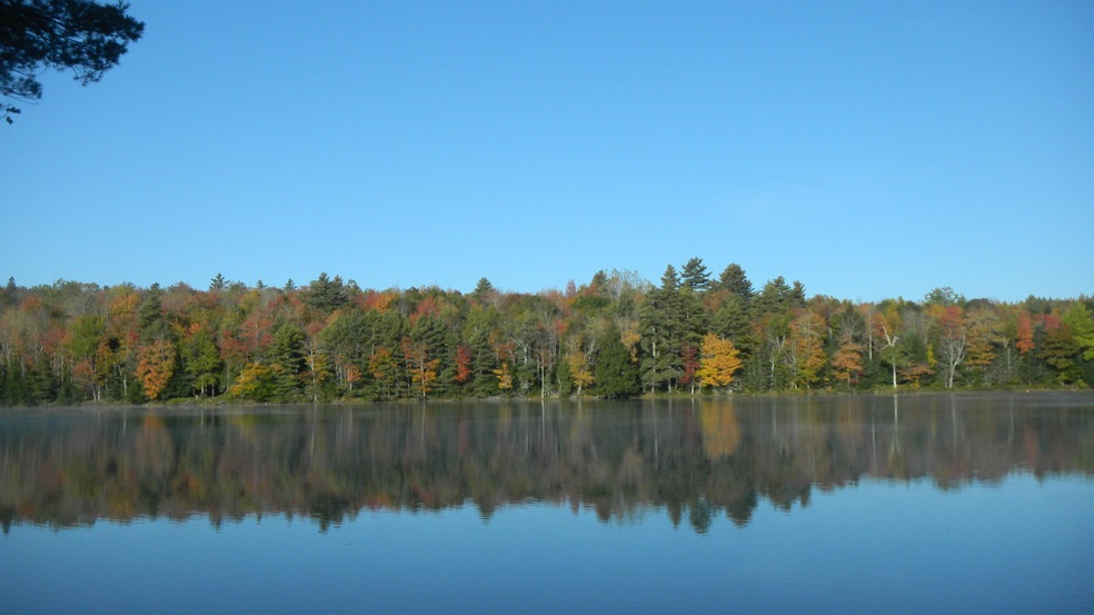 Cains Pond 2