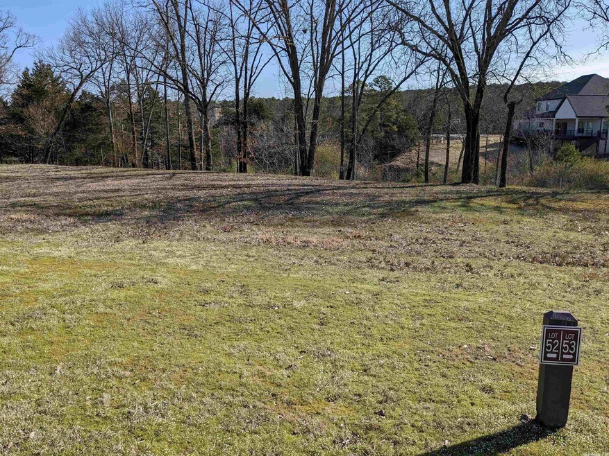 Lot 52 Brighton Pointe Ln, Heber Springs, AR 72543 - photo 1