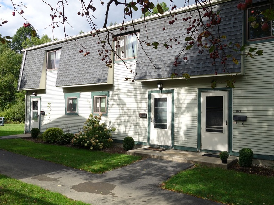 170 E Hadley Rd unit 105, Amherst, MA 01002 - photo 1