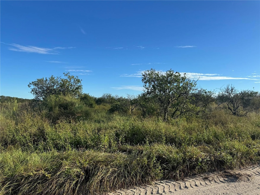 0 NE Highway 70 unit MFRC7514753, Arcadia, FL 34266 - photo 1