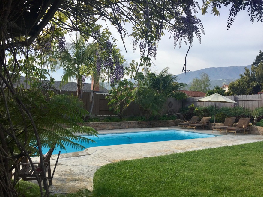 Pool and Landscaping
