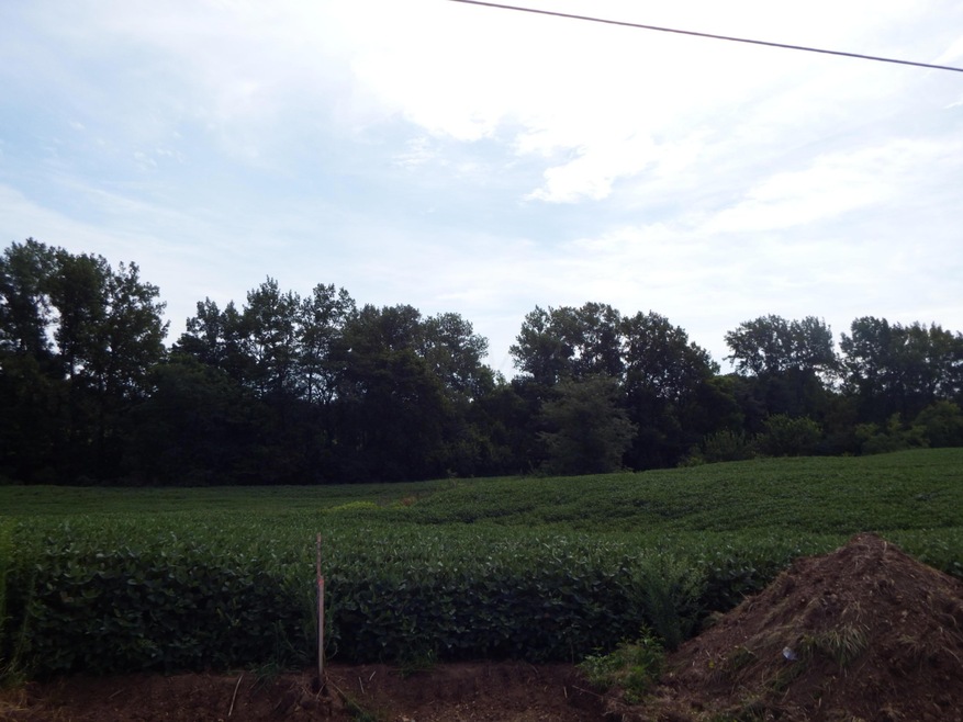 0 Ohio 104 unit Lot 3, Ashville, OH 43103 - photo 1