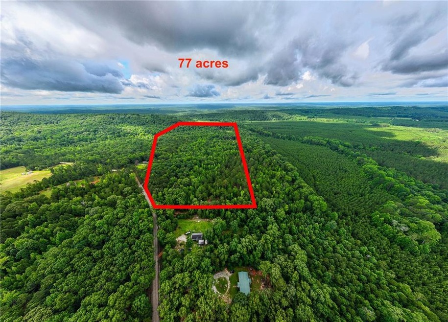 Aerial overview of property's location with a heavily wooded area and property boundaries highlighted