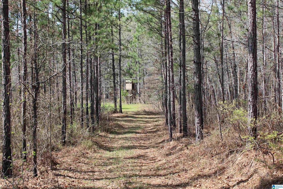 0 Danny Holmans Rd unit 21419252, Rockford, AL 35136 - photo 1