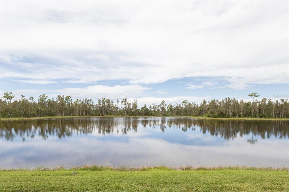 View from Back Patio