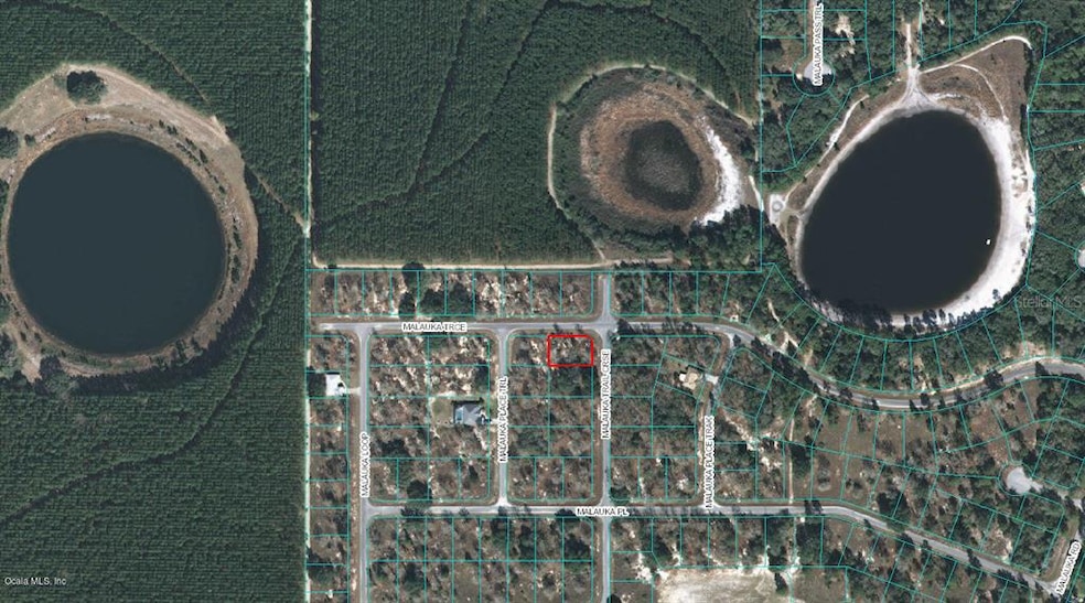 00 Malauka Trail Course, Ocklawaha, FL 32179 - photo 1