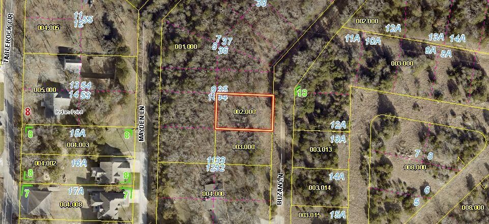 Lot 34 Buzan Ln, Indian Point, MO 65616 - photo 1